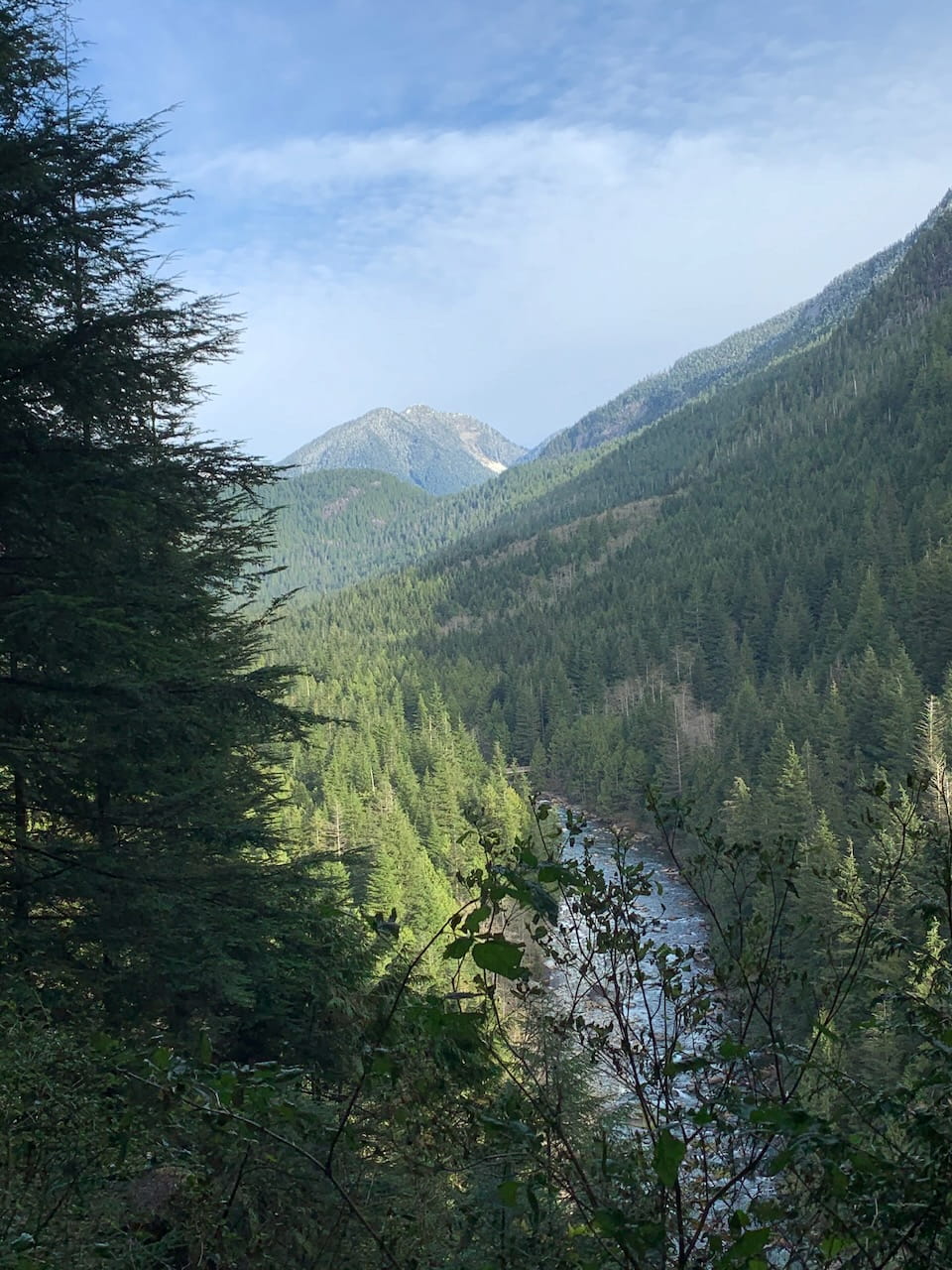 mountain view web