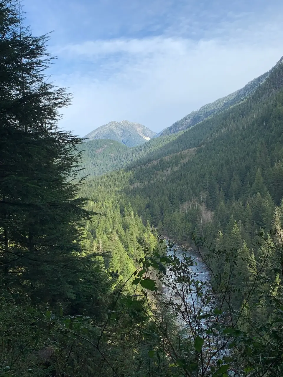 mountain view (1)